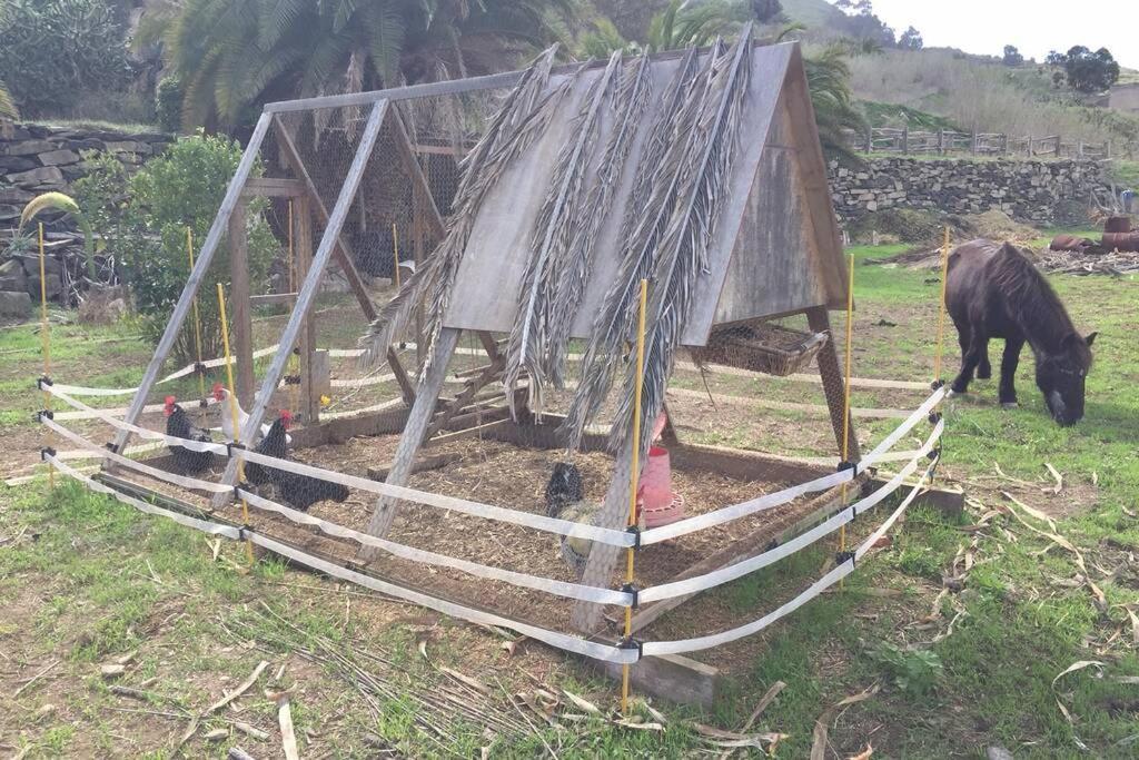 アルカスCasita Bioclimatica En El Campoアパートメント エクステリア 写真